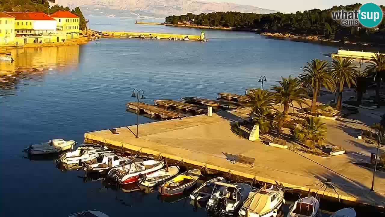 Jelsa Livecam Hvar