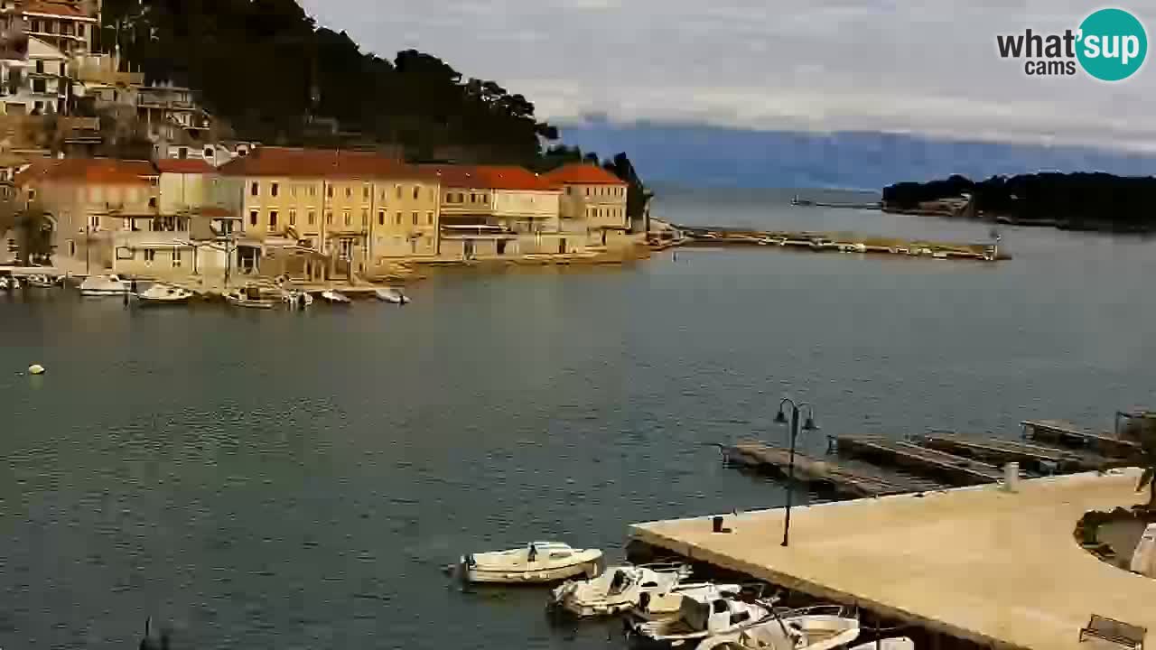 Webcam Jelsa Live motorisée – île de Hvar – Dalmatie – Croatie