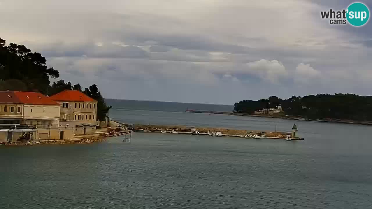 Webcam Jelsa Live motorisée – île de Hvar – Dalmatie – Croatie