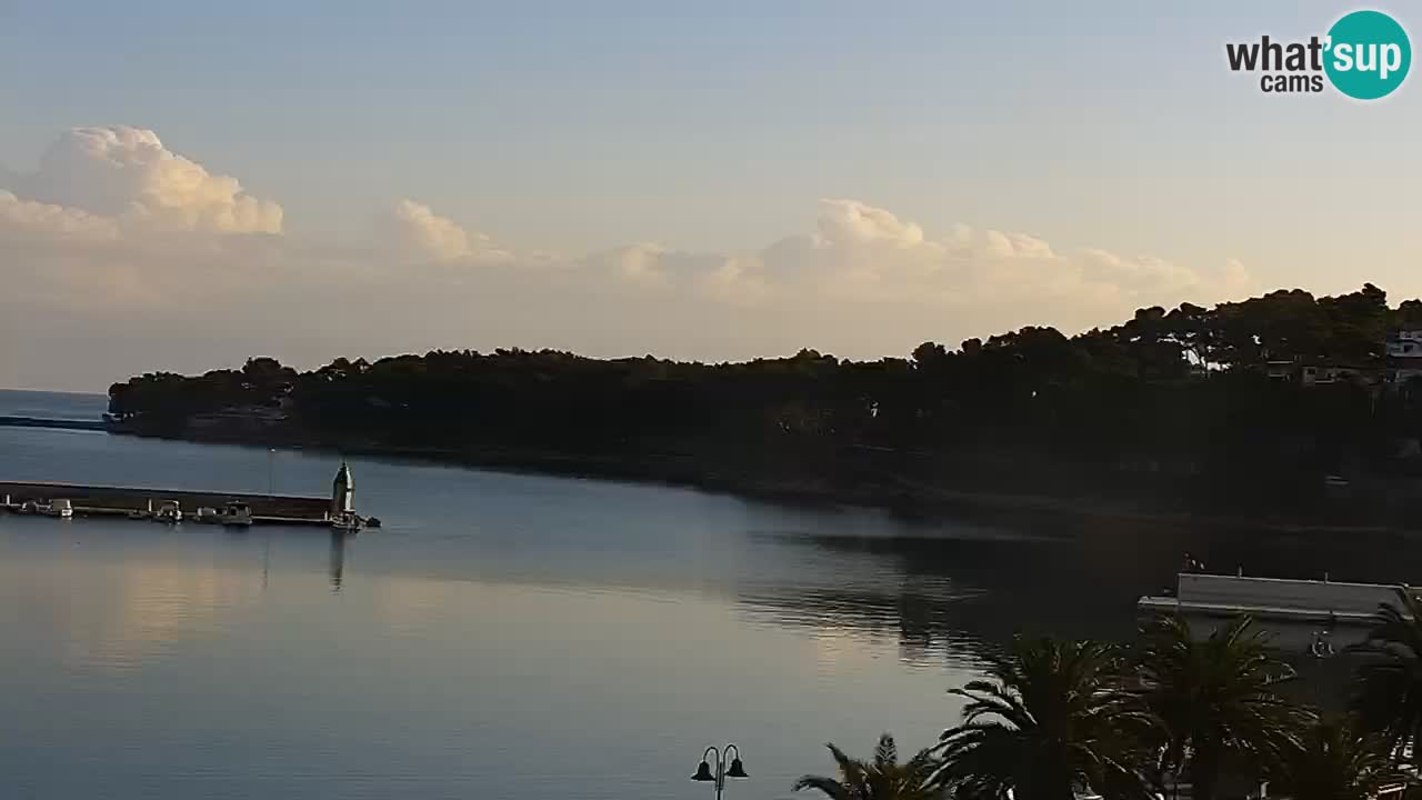 Gelsa webcam Lesina isola