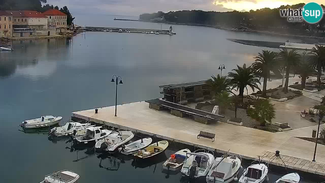 Jelsa camera en vivo – Isla de Hvar – Dalmacia – Croacia