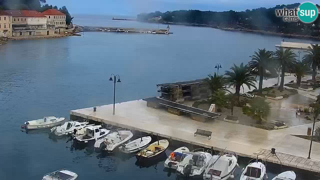 Jelsa Live Webcam motorized – Hvar island – Dalmatia – Croatia