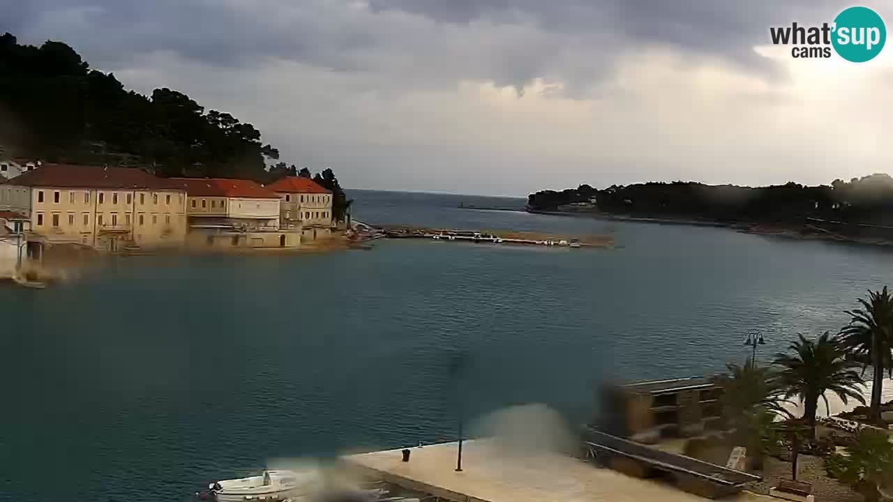 Jelsa Live Webcam motorizzata – Isola di Hvar – Dalmazia – Croazia