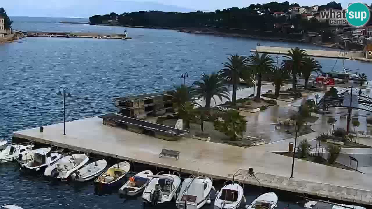 Jelsa Livecam Hvar