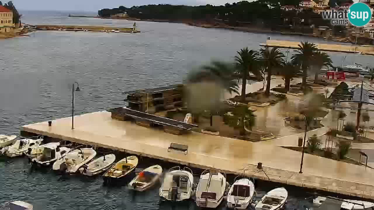 Jelsa Live Webcam motorizzata – Isola di Hvar – Dalmazia – Croazia