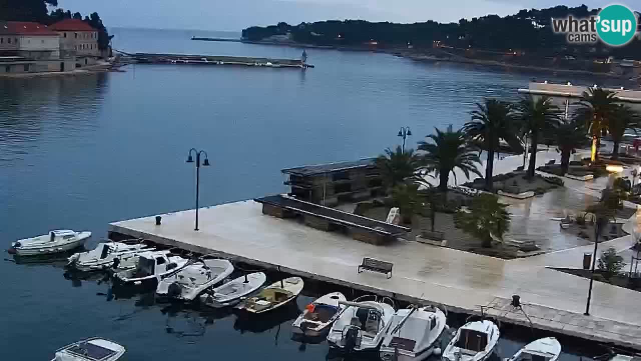 Gelsa webcam Lesina isola