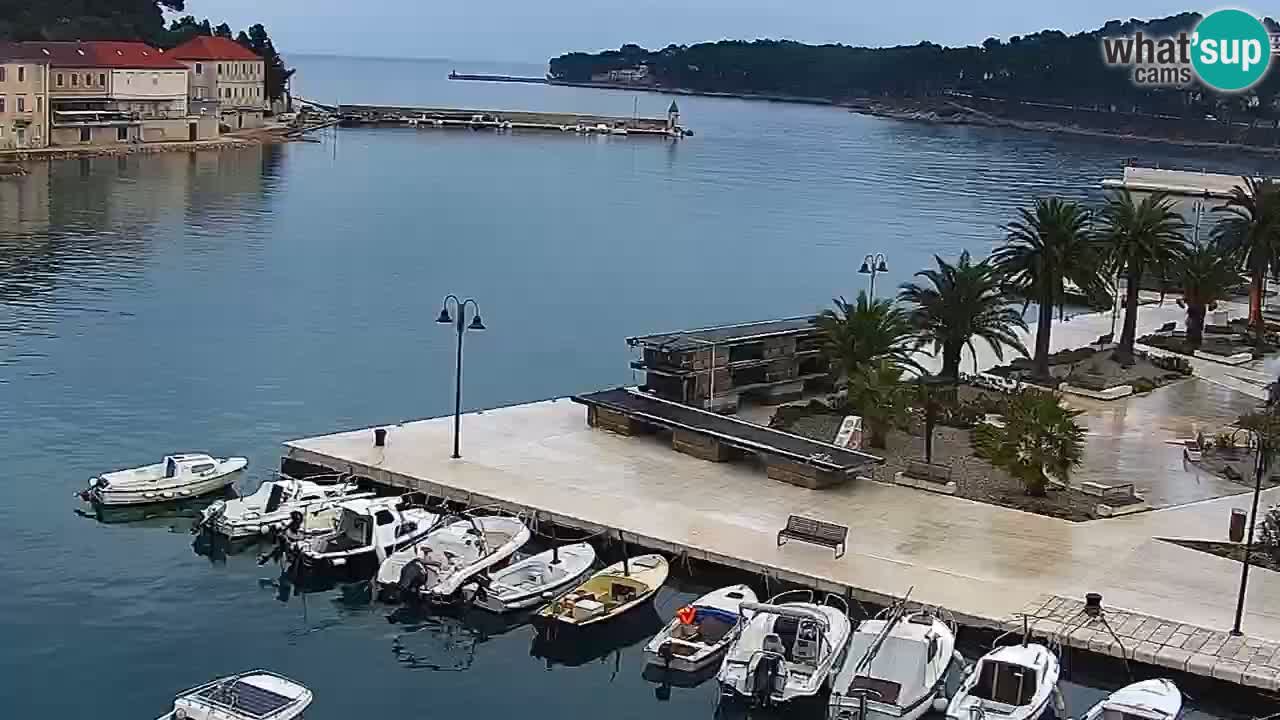 Jelsa Live Webcam motorizzata – Isola di Hvar – Dalmazia – Croazia