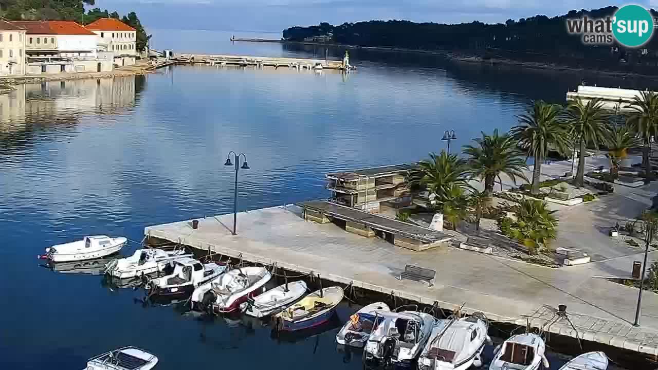 Webcam Jelsa Live motorisée – île de Hvar – Dalmatie – Croatie