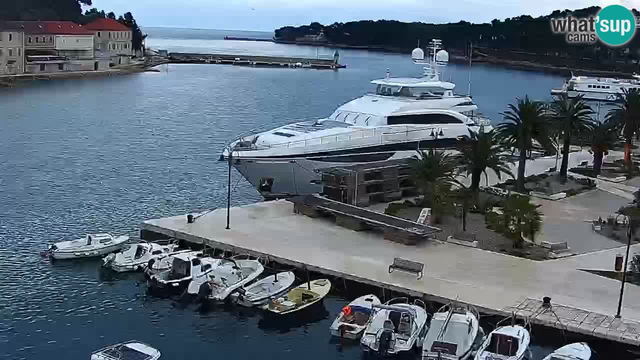 Webcam Jelsa Live motorisée – île de Hvar – Dalmatie – Croatie