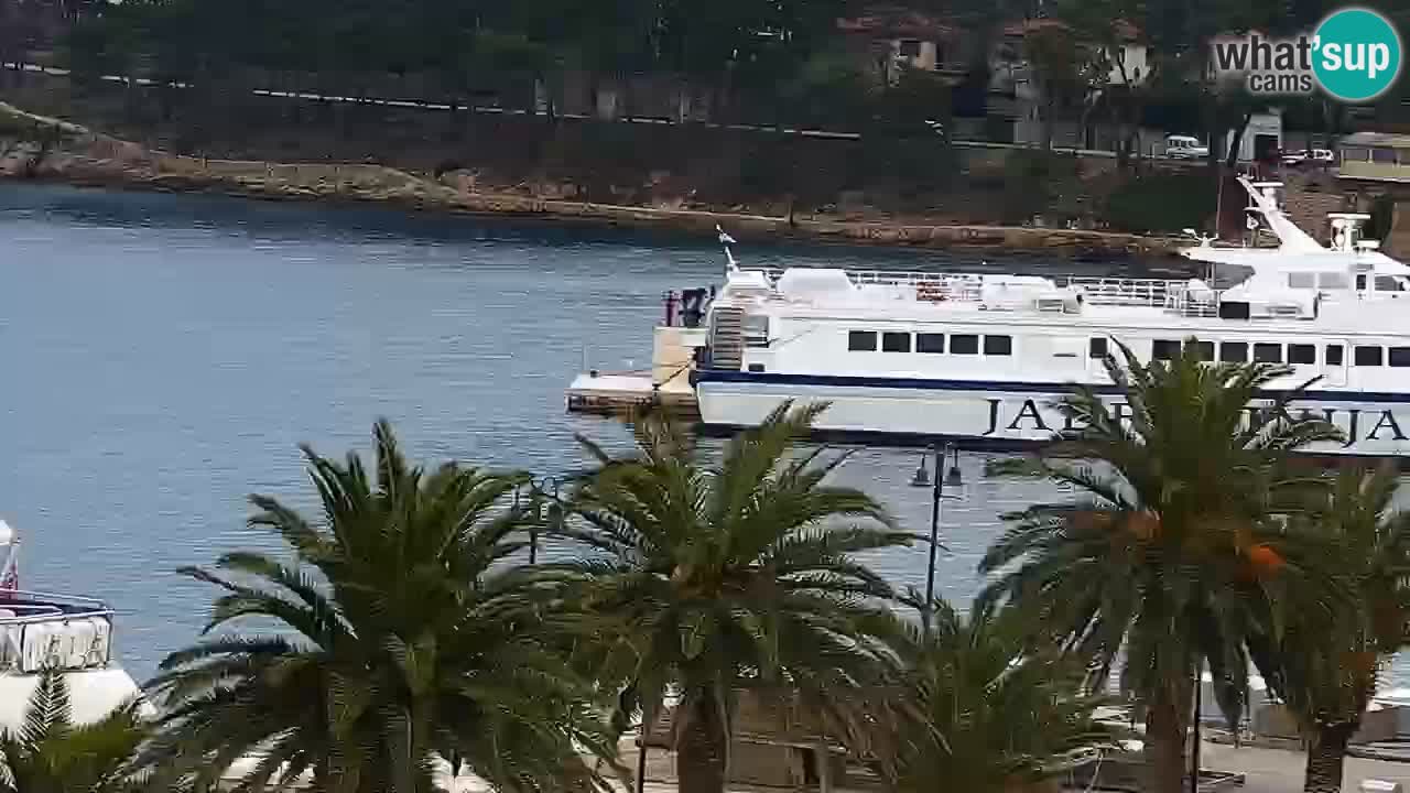 Jelsa Live Webcam motorizzata – Isola di Hvar – Dalmazia – Croazia