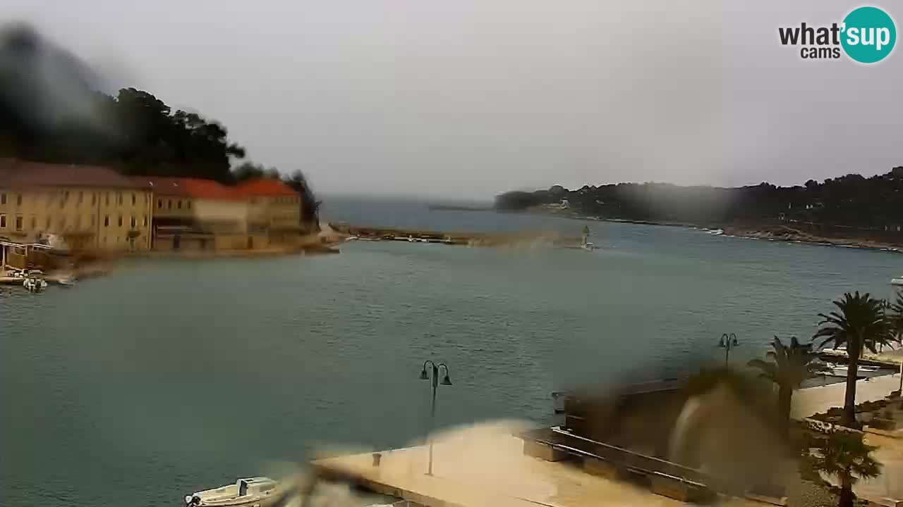 Webcam Jelsa Live motorisée – île de Hvar – Dalmatie – Croatie