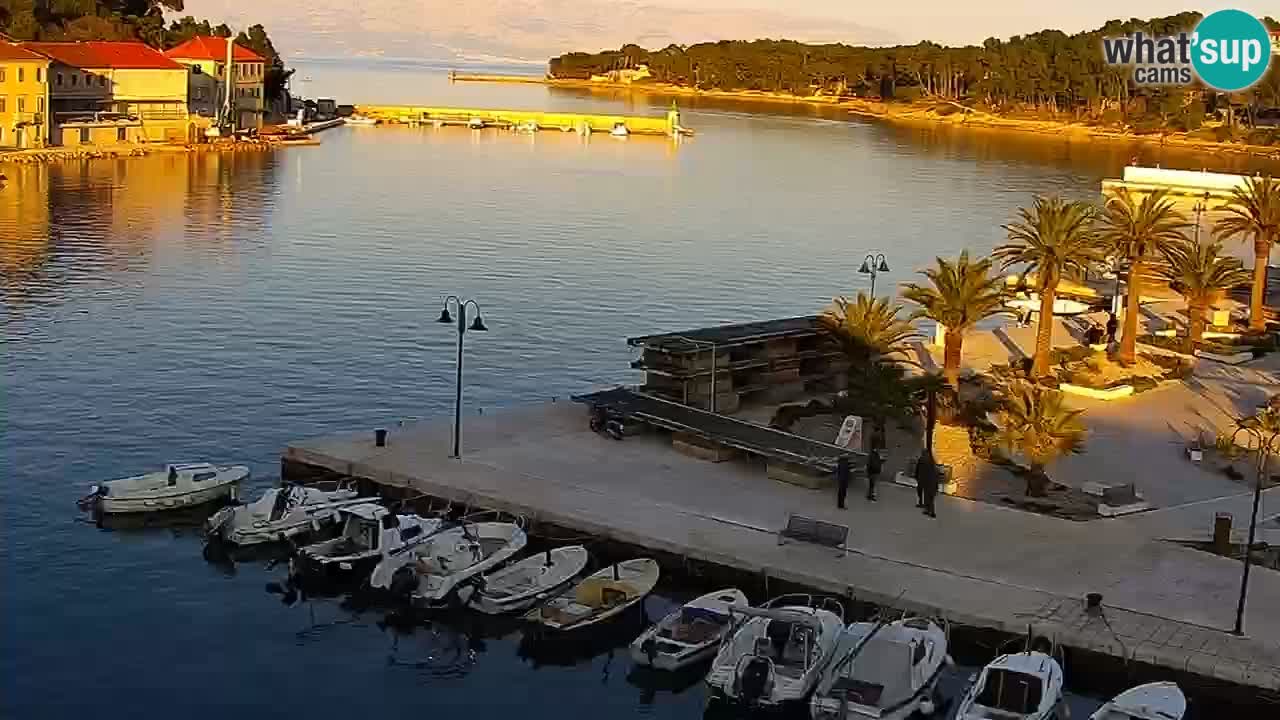 Jelsa camera en vivo – Isla de Hvar – Dalmacia – Croacia