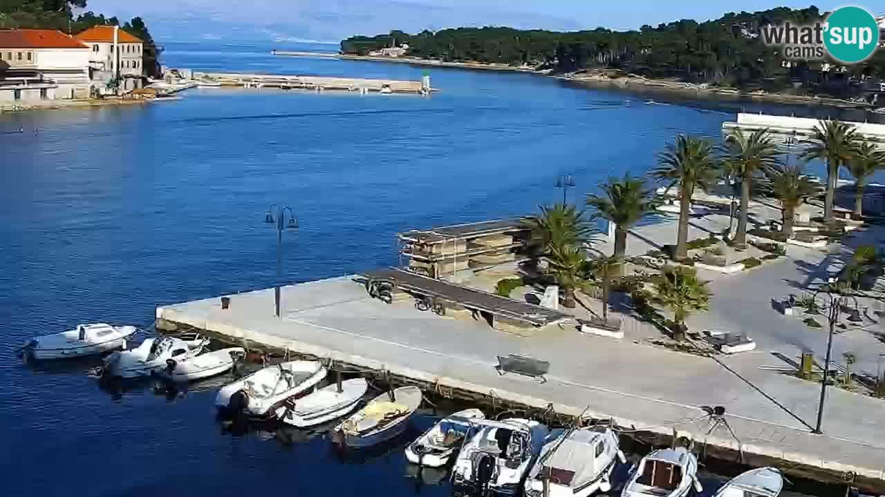 Jelsa Live Webcam motorized – Hvar island – Dalmatia – Croatia