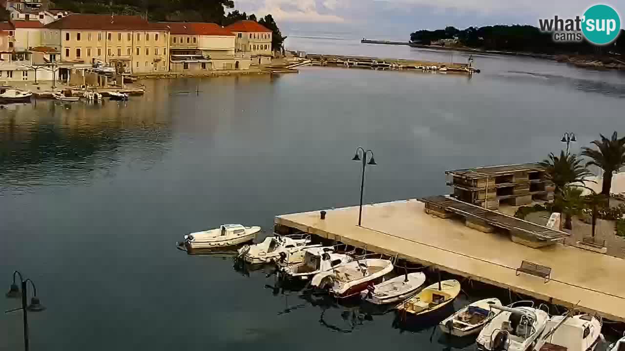 Jelsa camera en vivo – Isla de Hvar – Dalmacia – Croacia