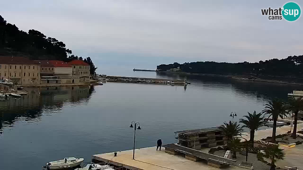 Jelsa Live Webcam motorizzata – Isola di Hvar – Dalmazia – Croazia