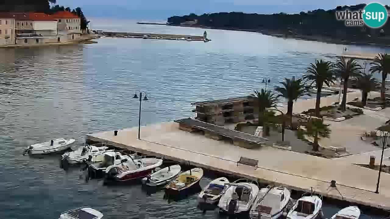 Jelsa Live Webcam motorized – Hvar island – Dalmatia – Croatia