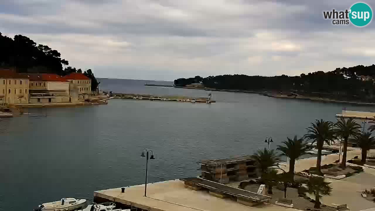 Jelsa Live Webcam motorizzata – Isola di Hvar – Dalmazia – Croazia