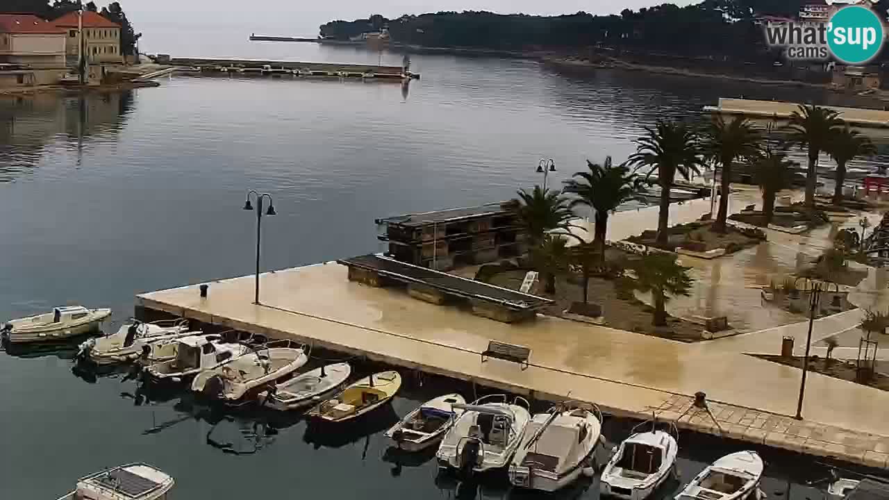 Jelsa Livecam Hvar