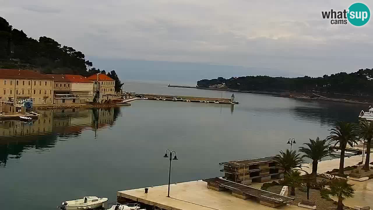 Jelsa camera en vivo – Isla de Hvar – Dalmacia – Croacia