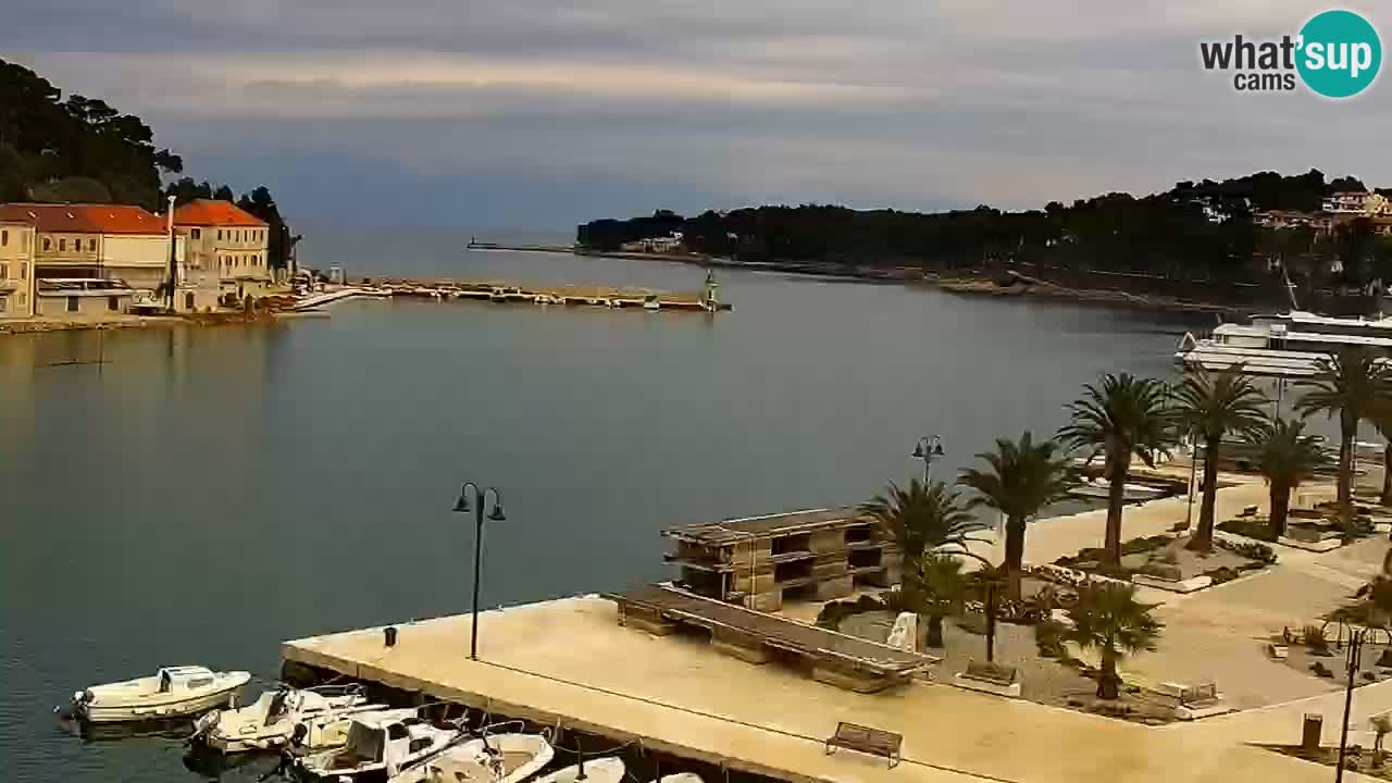 Webcam Jelsa Live motorisée – île de Hvar – Dalmatie – Croatie