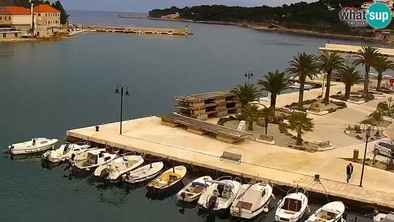 Jelsa Live Webcam motorizzata – Isola di Hvar – Dalmazia – Croazia