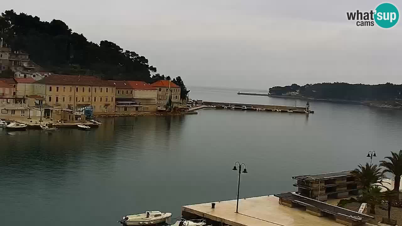 Jelsa camera en vivo – Isla de Hvar – Dalmacia – Croacia