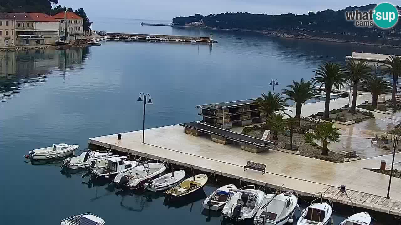 Jelsa Live Webcam motorized – Hvar island – Dalmatia – Croatia