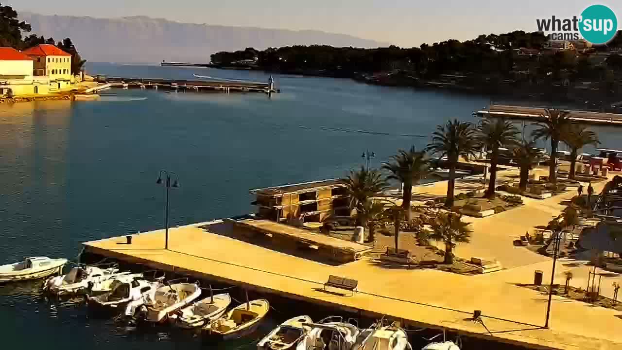 Jelsa web kamera Hvar otok