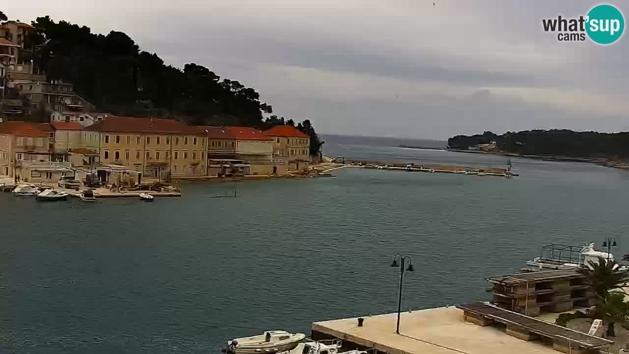 Webcam Jelsa Live motorisée – île de Hvar – Dalmatie – Croatie