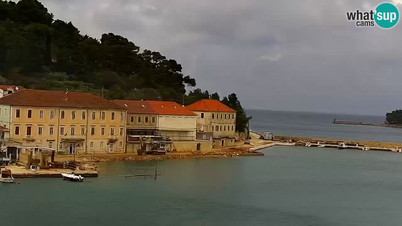 Jelsa Live Webcam motorized – Hvar island – Dalmatia – Croatia