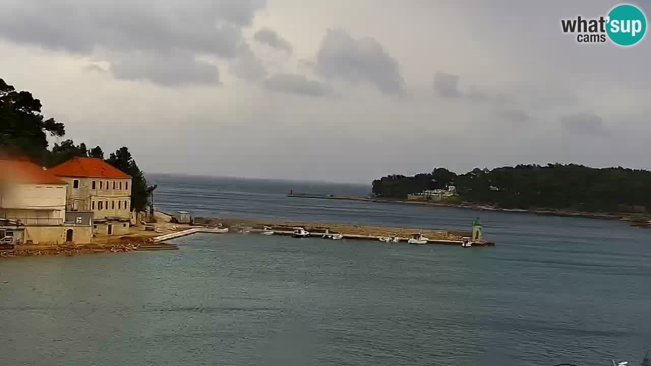 Jelsa Live Webcam motorized – Hvar island – Dalmatia – Croatia