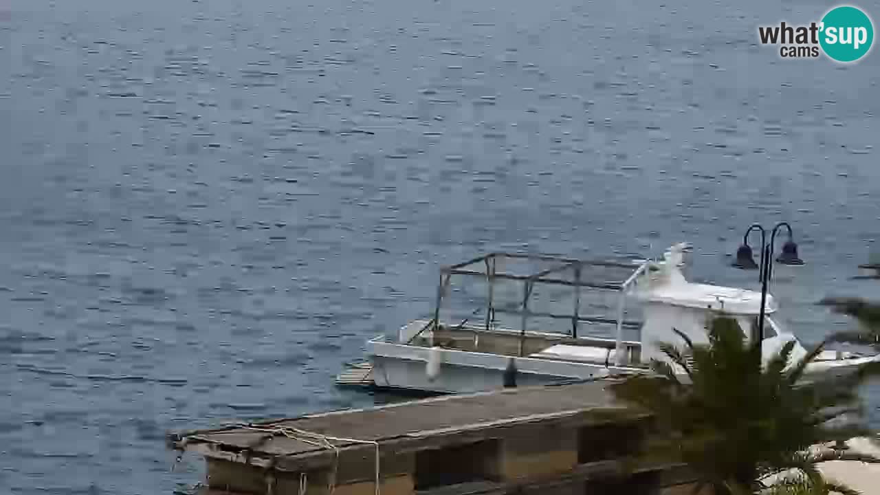 Webcam Jelsa Live motorisée – île de Hvar – Dalmatie – Croatie