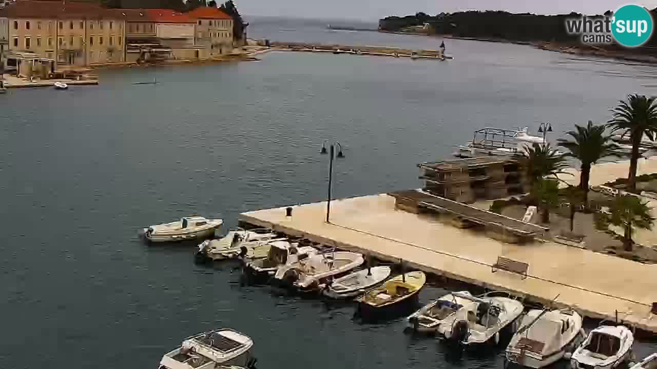 Jelsa Live Webcam motorisiert – Insel Hvar – Dalmatien – Kroatien