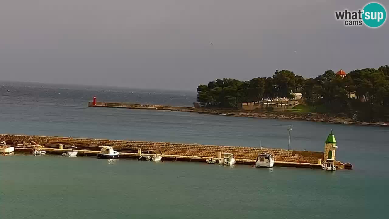 Jelsa Livecam Hvar island