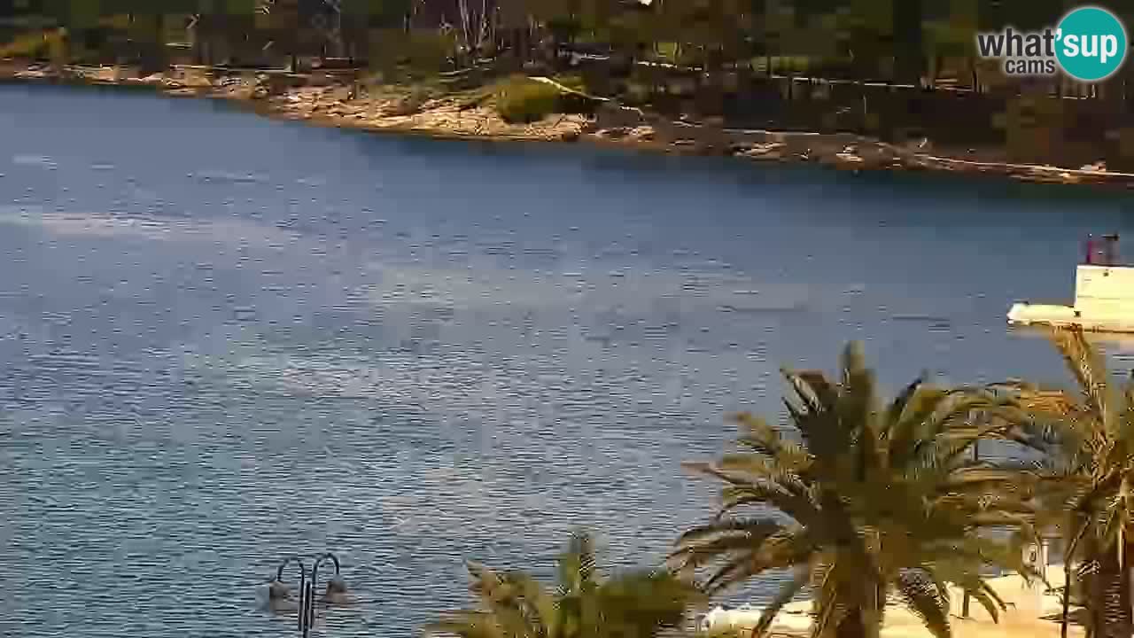 Jelsa Live Webcam motorizzata – Isola di Hvar – Dalmazia – Croazia