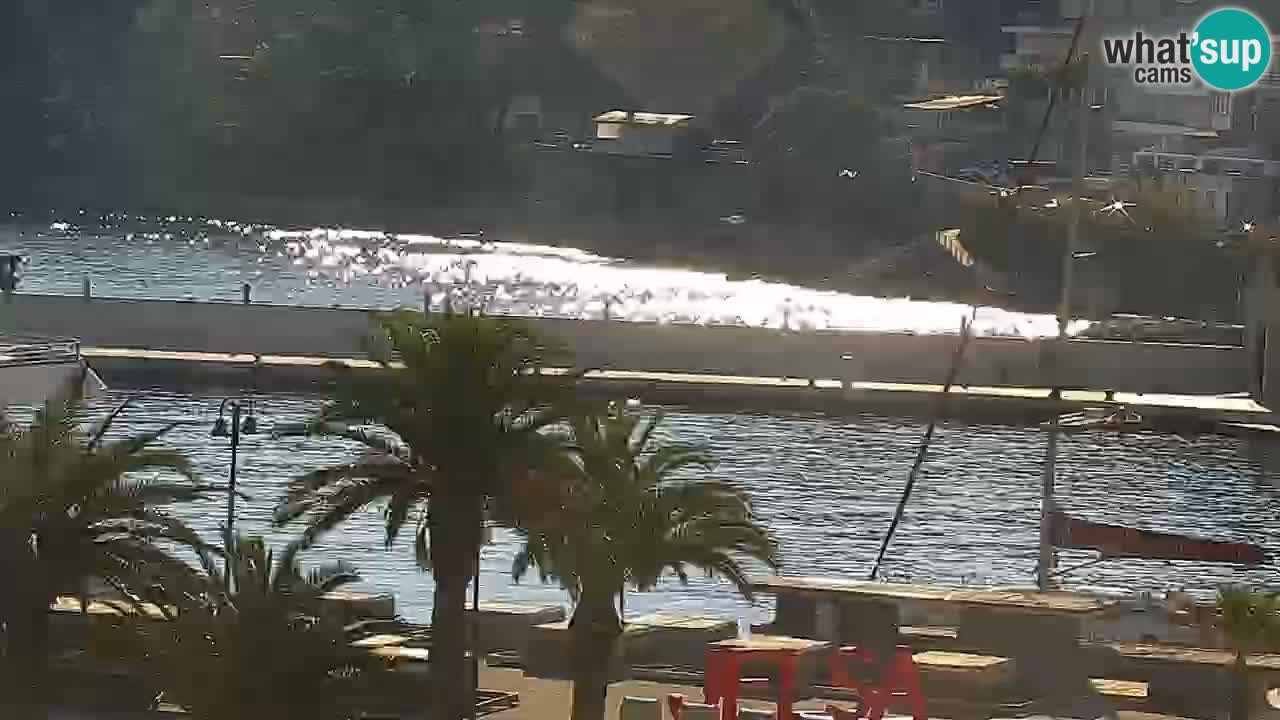 Webcam Jelsa – Hvar insel