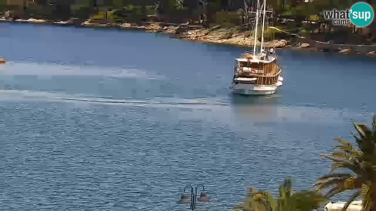 Webcam Jelsa Live motorisée – île de Hvar – Dalmatie – Croatie