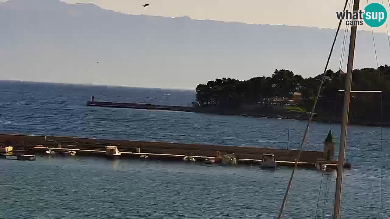 Jelsa camera en vivo – Isla de Hvar – Dalmacia – Croacia