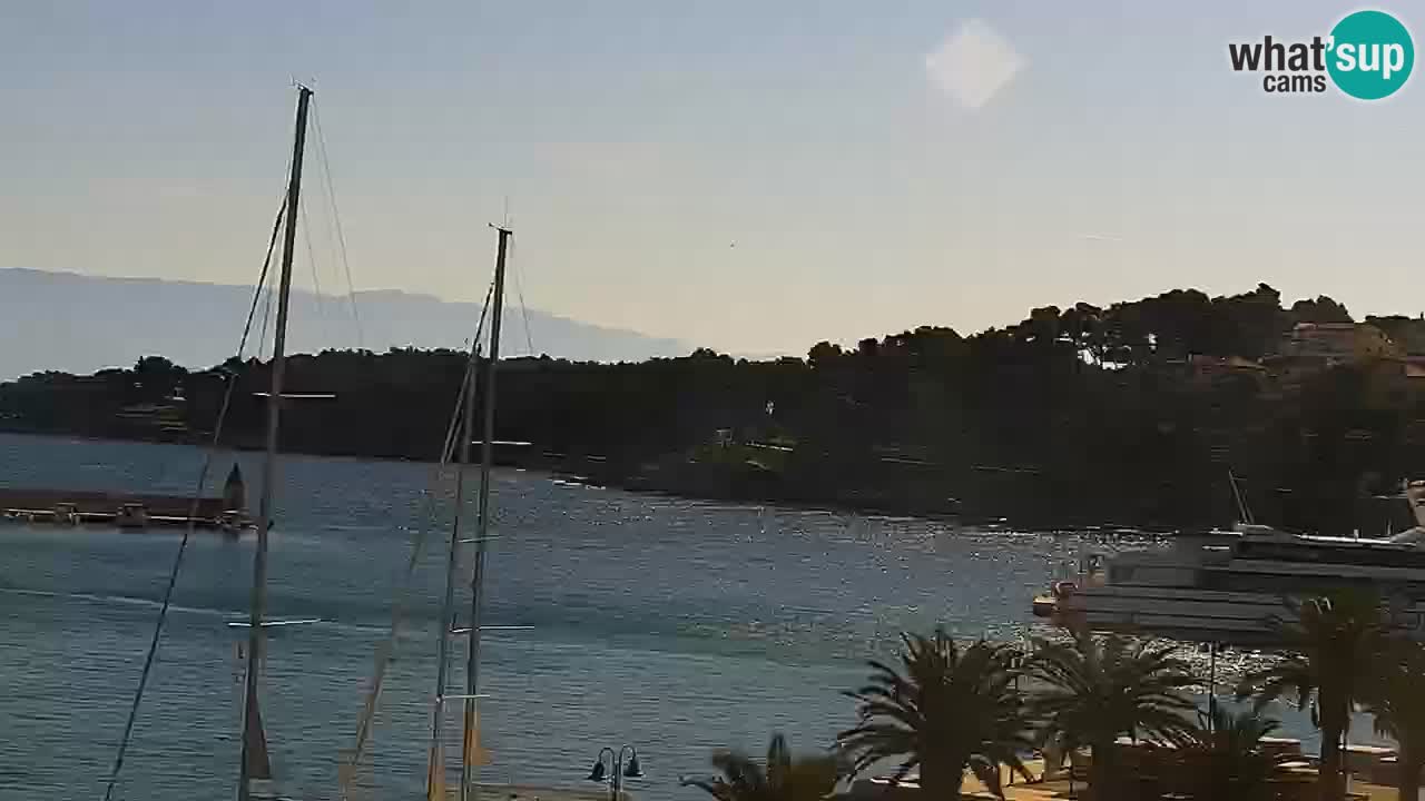 Jelsa Live Webcam motorized – Hvar island – Dalmatia – Croatia
