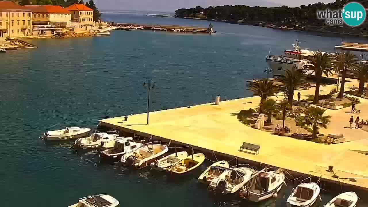 Jelsa camera en vivo – Isla de Hvar – Dalmacia – Croacia