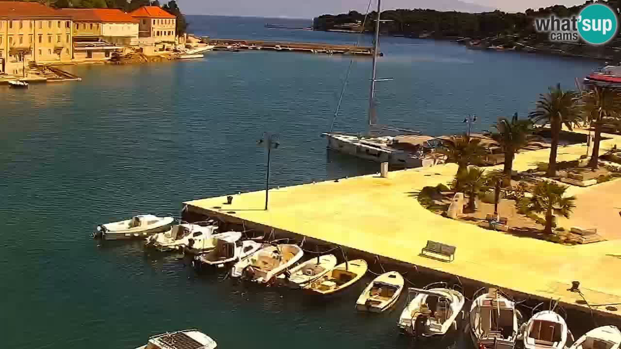 Webcam Jelsa Live motorisée – île de Hvar – Dalmatie – Croatie