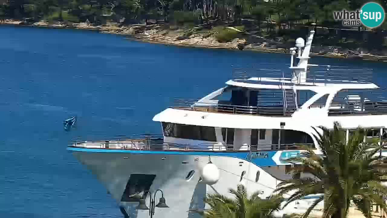 Webcam Jelsa Live motorisée – île de Hvar – Dalmatie – Croatie