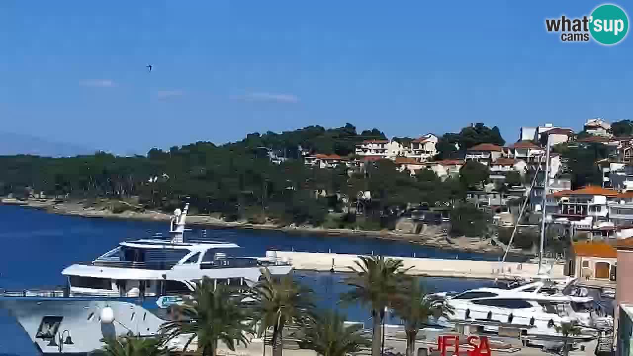 Gelsa webcam Lesina isola