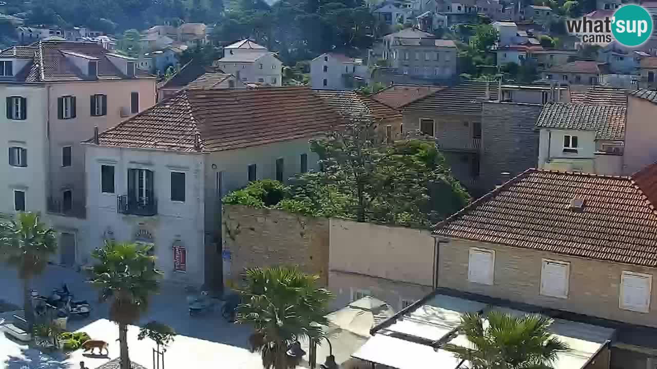 Jelsa camera en vivo – Isla de Hvar – Dalmacia – Croacia