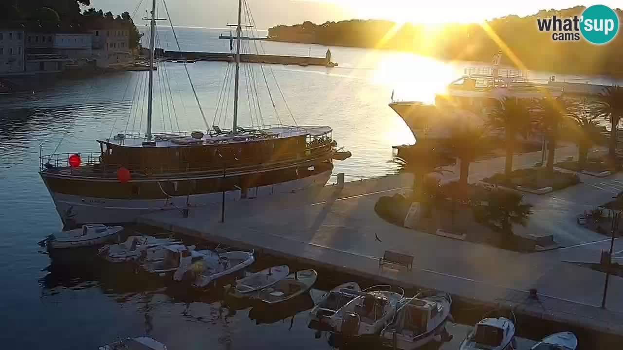 Jelsa Livecam Hvar