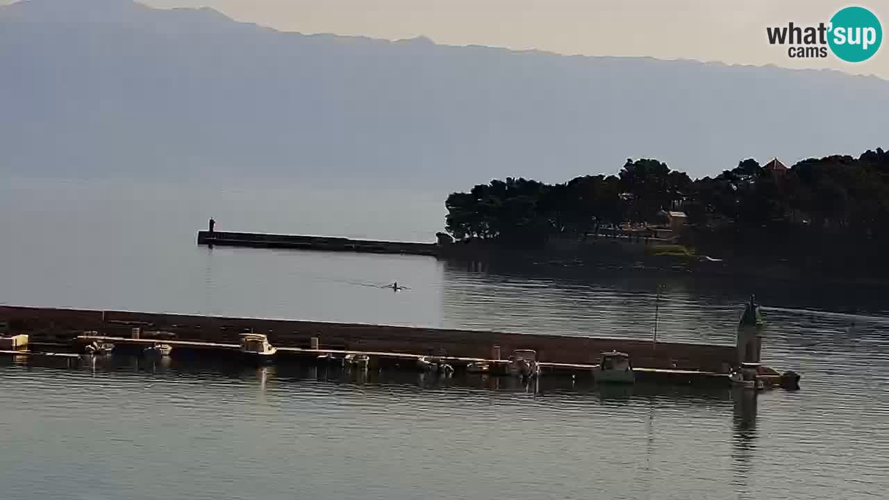 Jelsa camera en vivo – Isla de Hvar – Dalmacia – Croacia