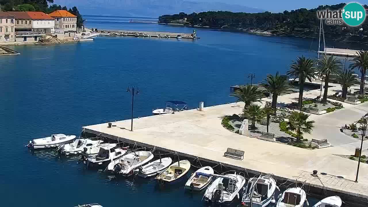 Jelsa camera en vivo – Isla de Hvar – Dalmacia – Croacia