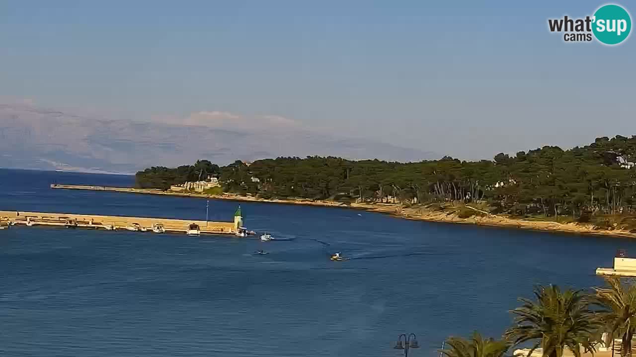 Jelsa web kamera Hvar otok