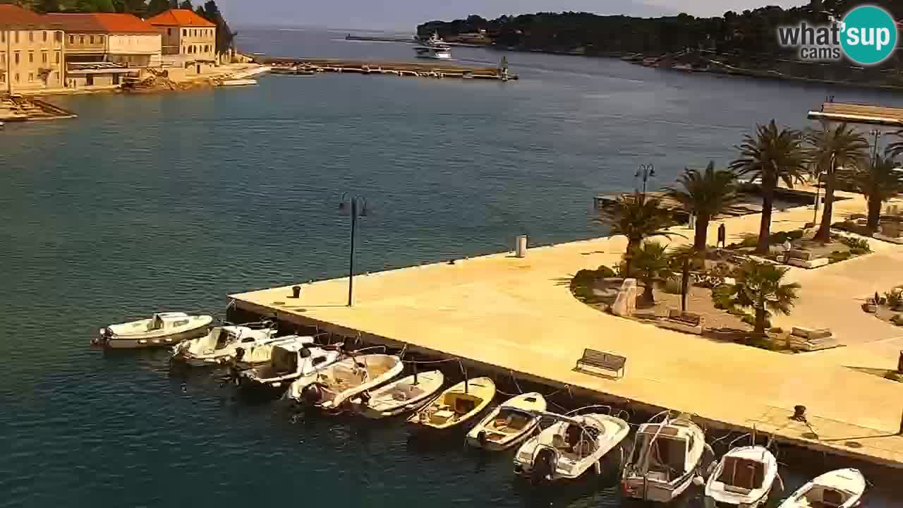 Jelsa Live Webcam motorized – Hvar island – Dalmatia – Croatia