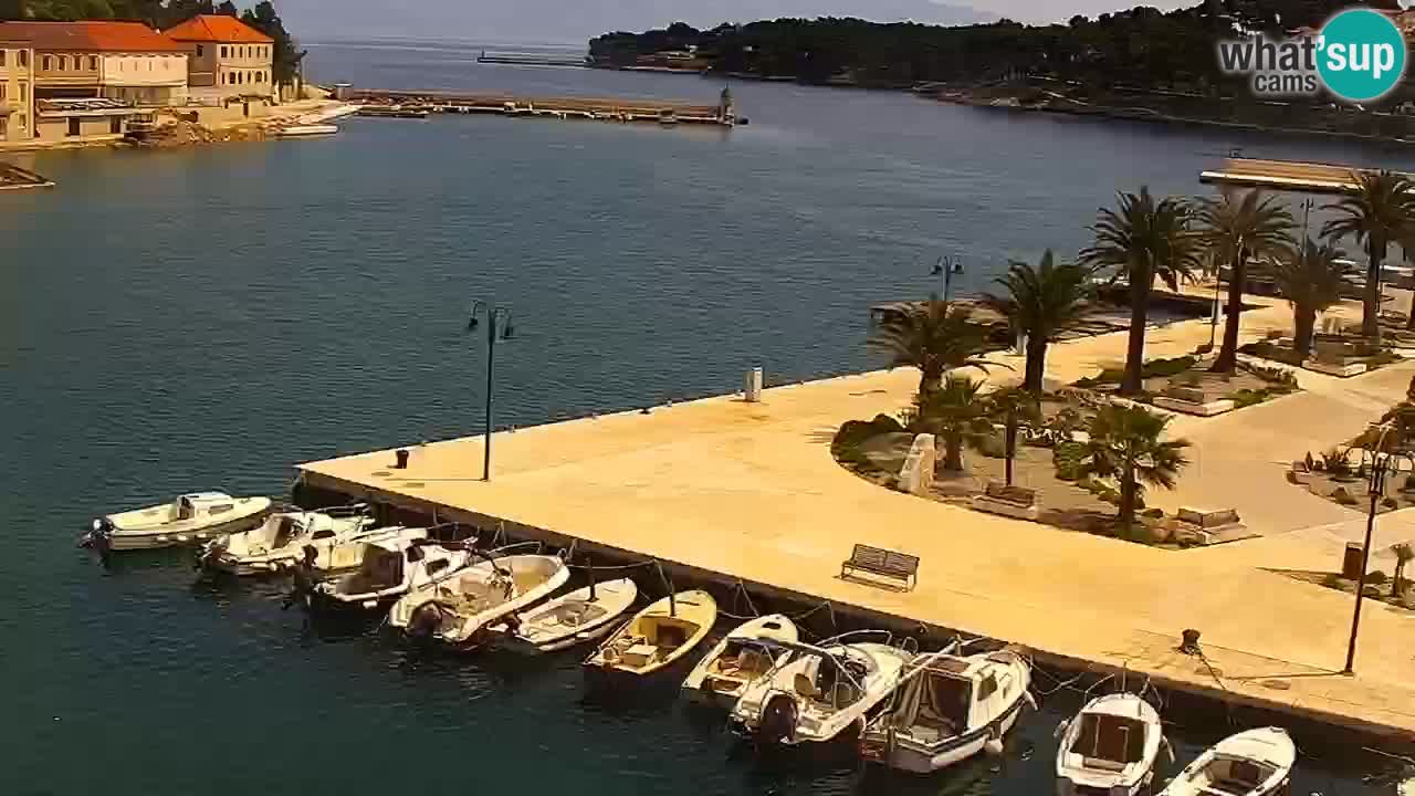 Jelsa Livecam Hvar